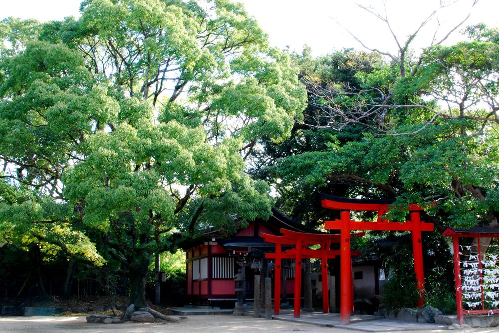 唐津神社の画像 - 2枚目
