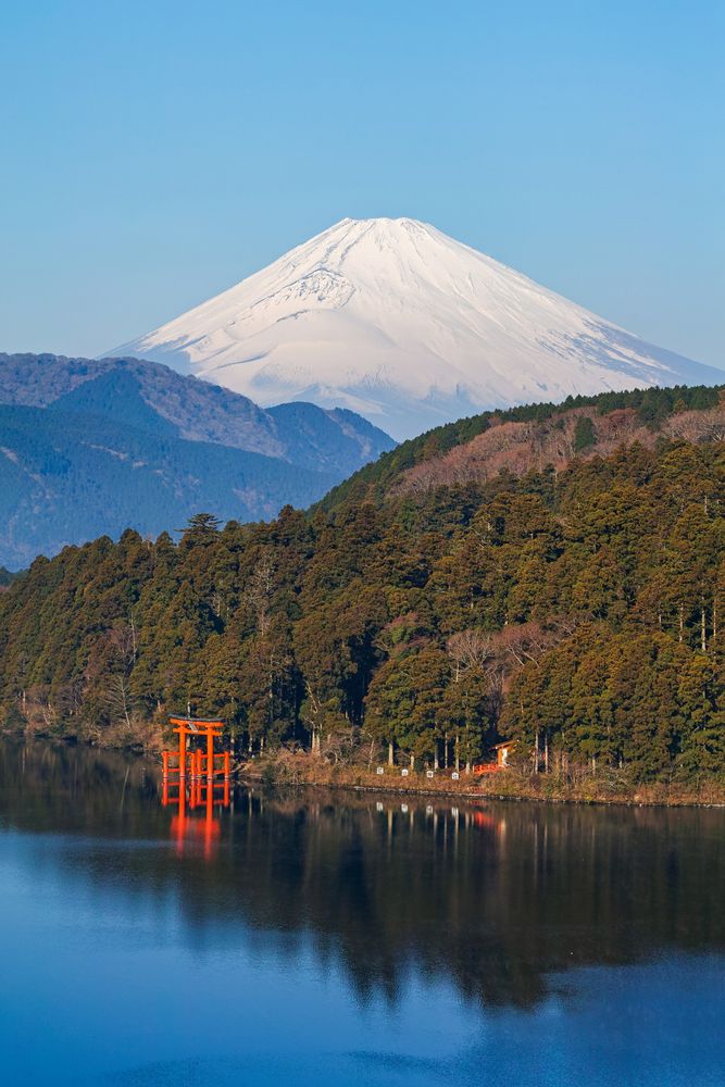 箱根神社 平和の鳥居の画像 - 4枚目