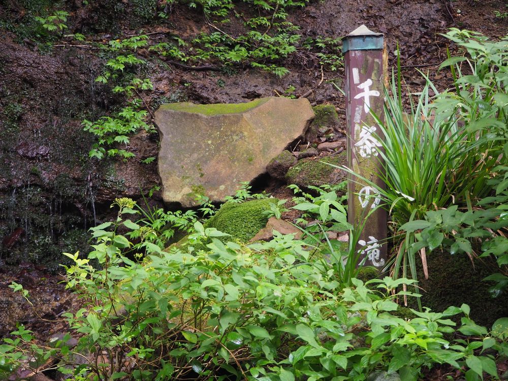 千条の滝の画像 - 6枚目