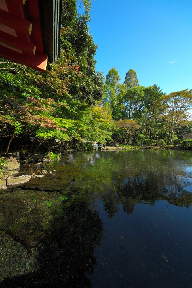 湧玉池の画像 - 3枚目