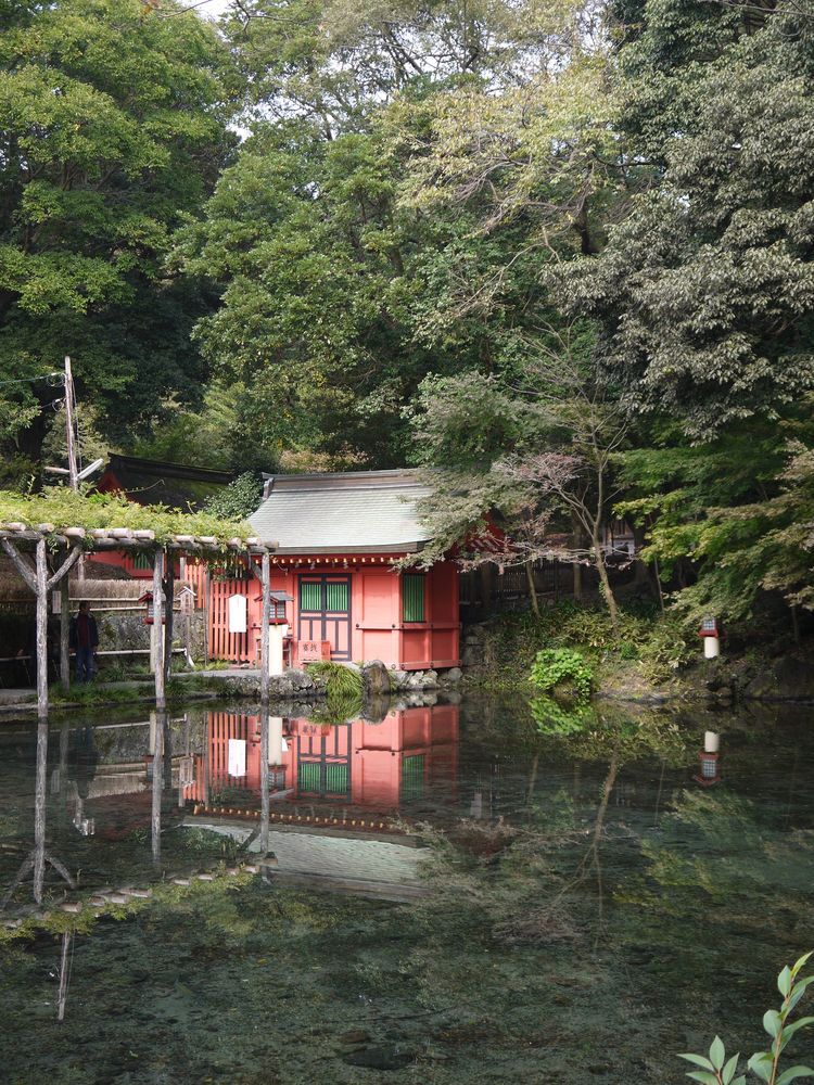 湧玉池の画像 - 4枚目