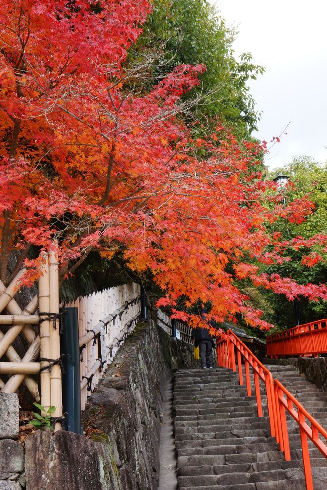 清荒神清澄寺の画像 - 5枚目