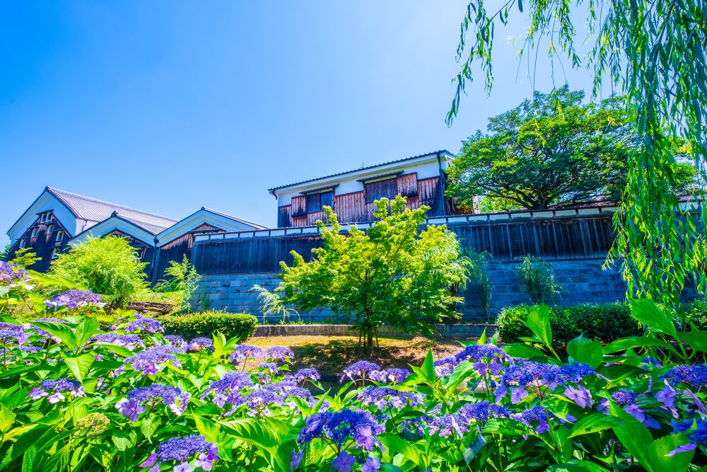 月桂冠大倉記念館の画像 - 5枚目