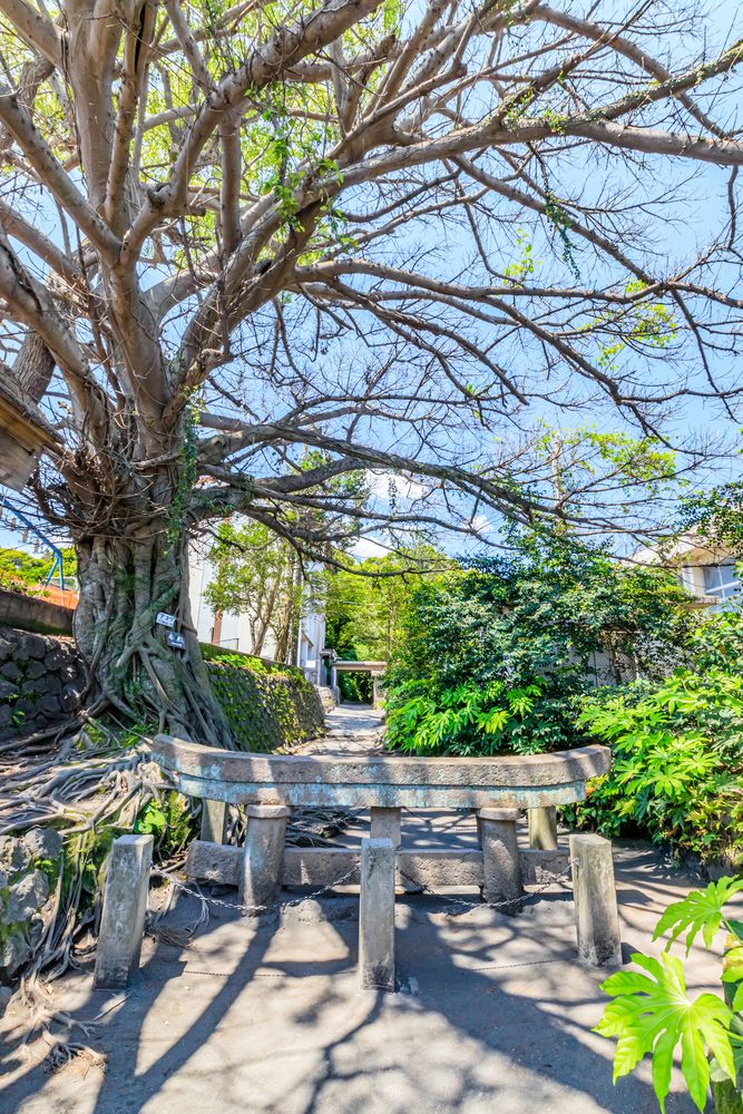 黒神埋没鳥居の画像 - 4枚目