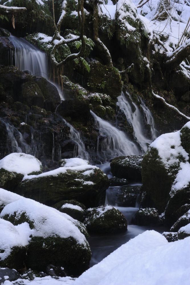 元滝伏流水の画像 - 2枚目