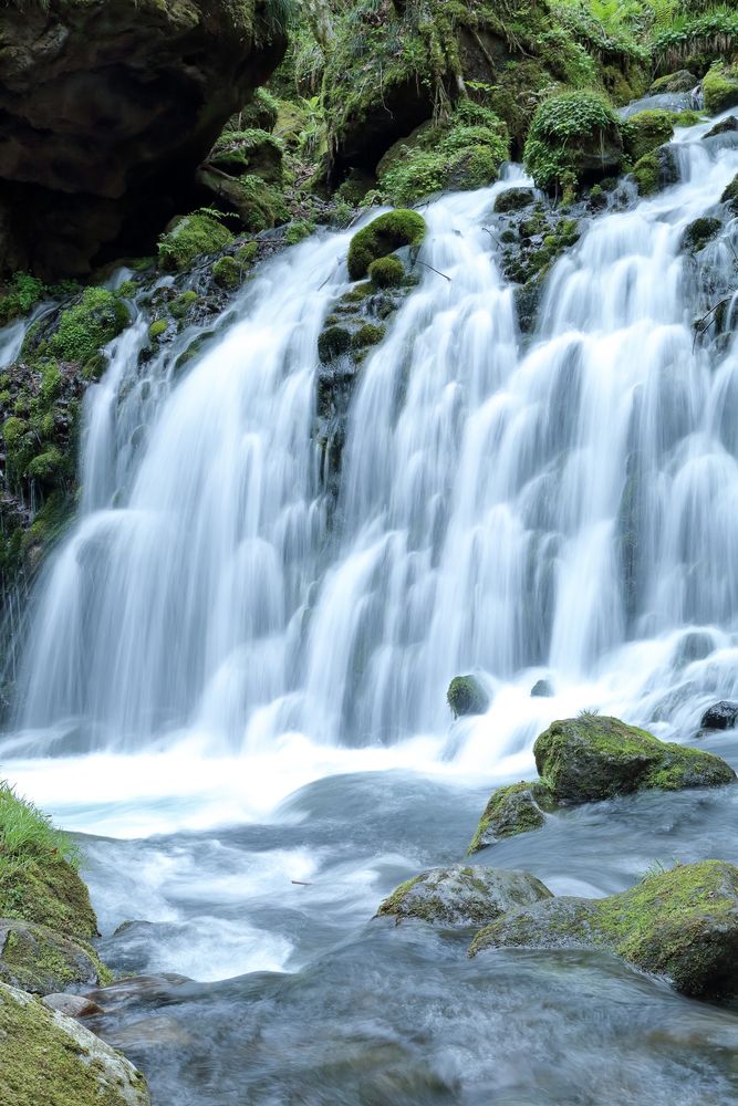 元滝伏流水の画像 - 3枚目