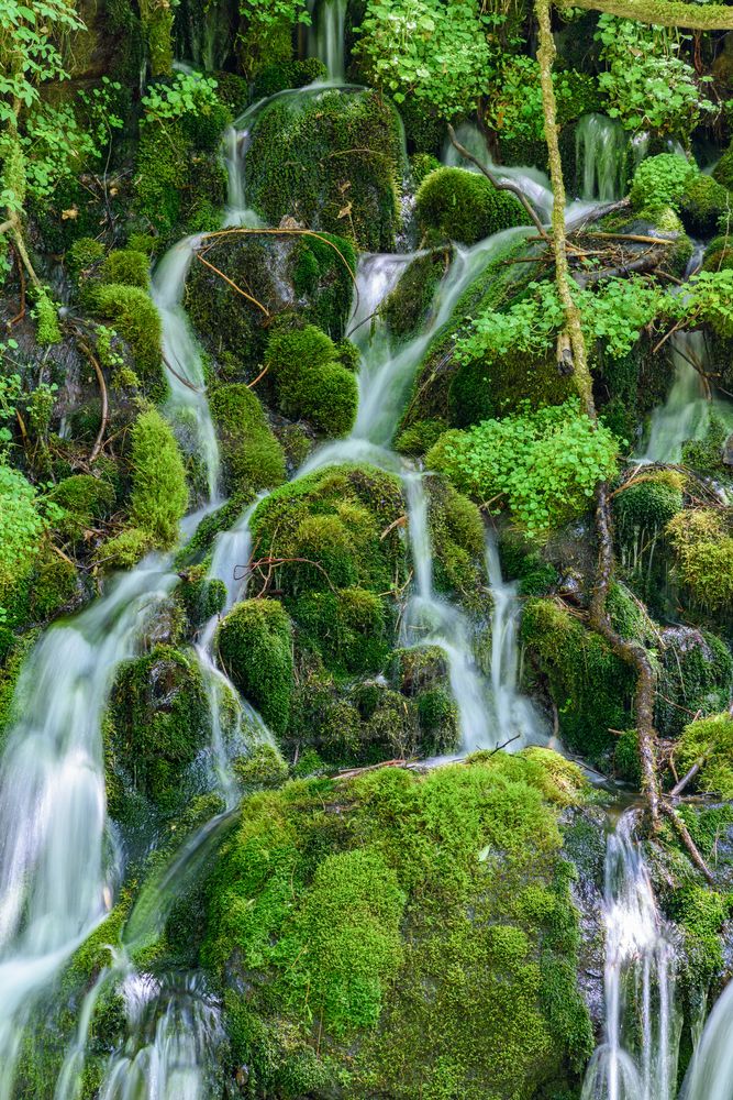 元滝伏流水の画像 - 4枚目