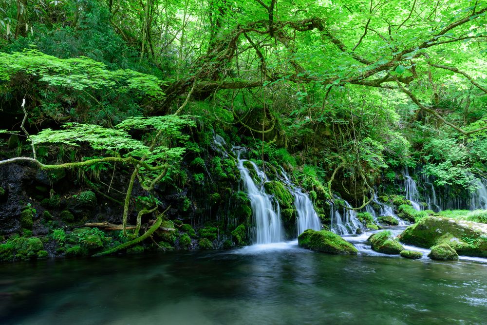 元滝伏流水】の周辺スポット・アクセス・口コミ - Prism Japan