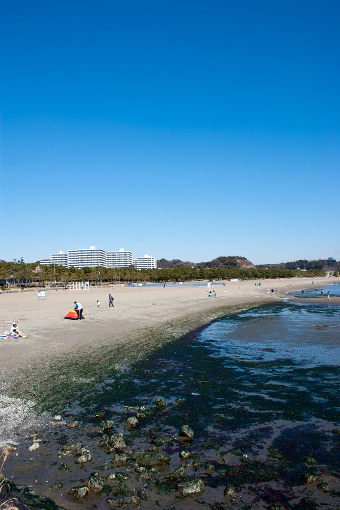 海の公園