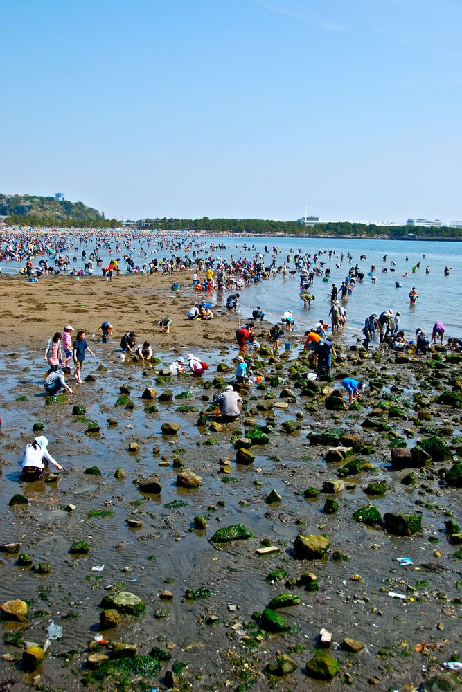 海の公園の画像 - 4枚目