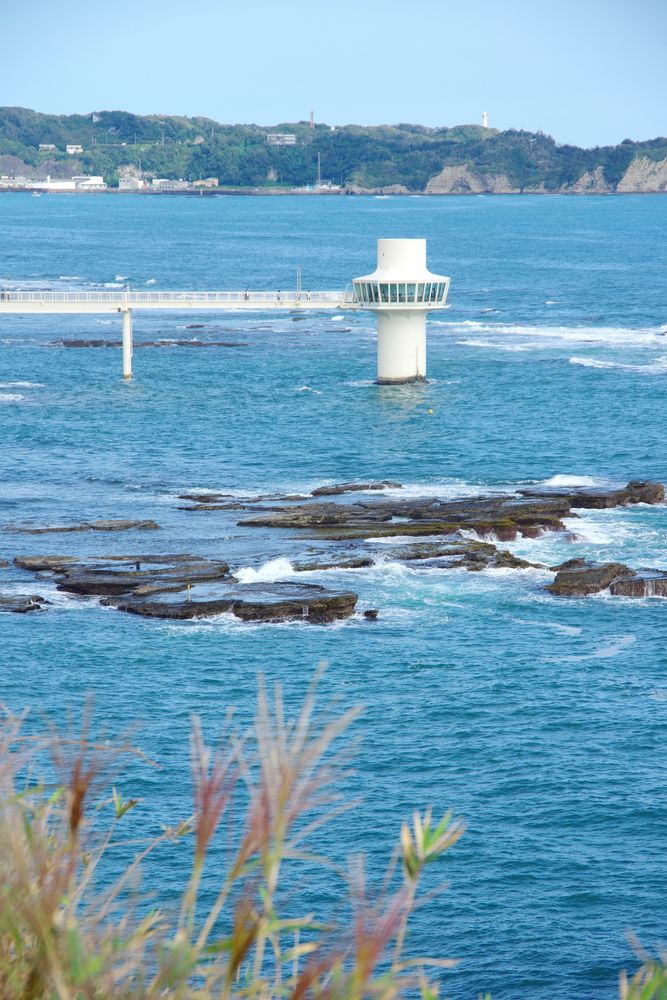 勝浦海中展望塔の画像 - 5枚目