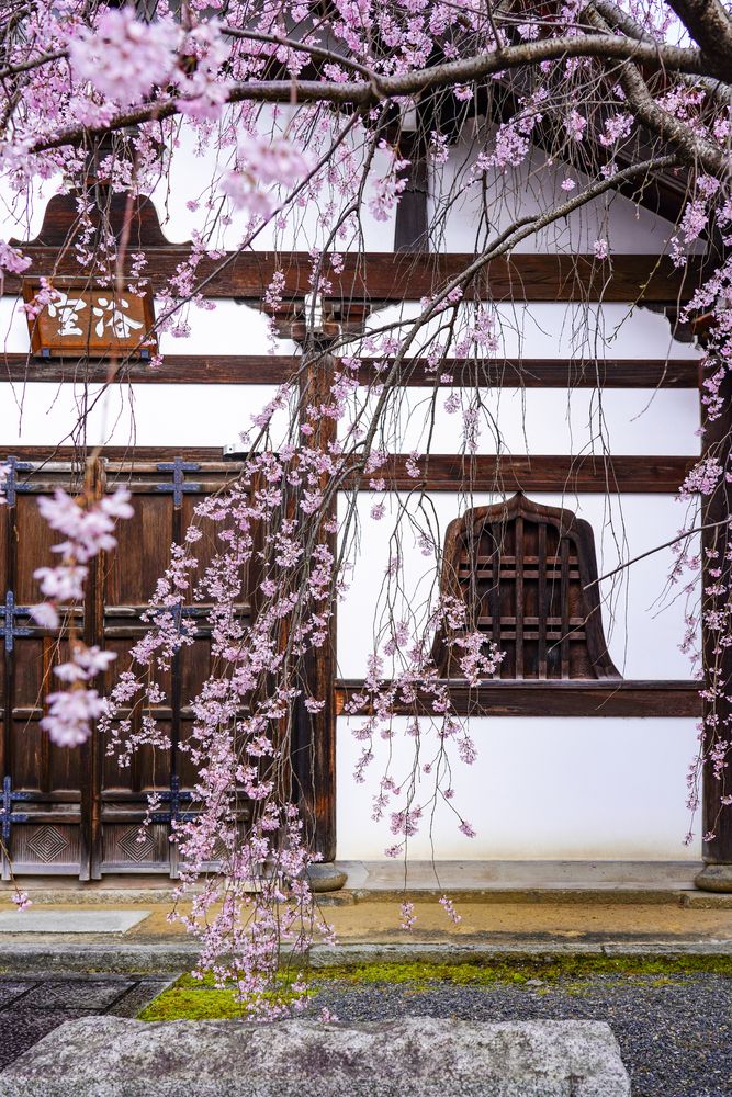 建仁寺の画像 - 3枚目