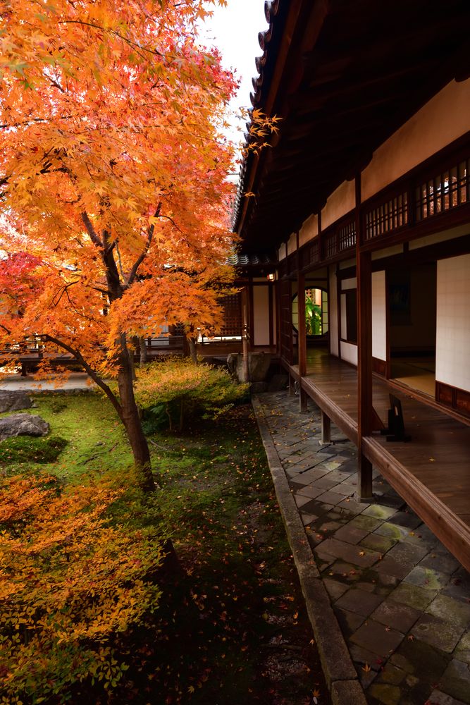 建仁寺の画像 - 5枚目