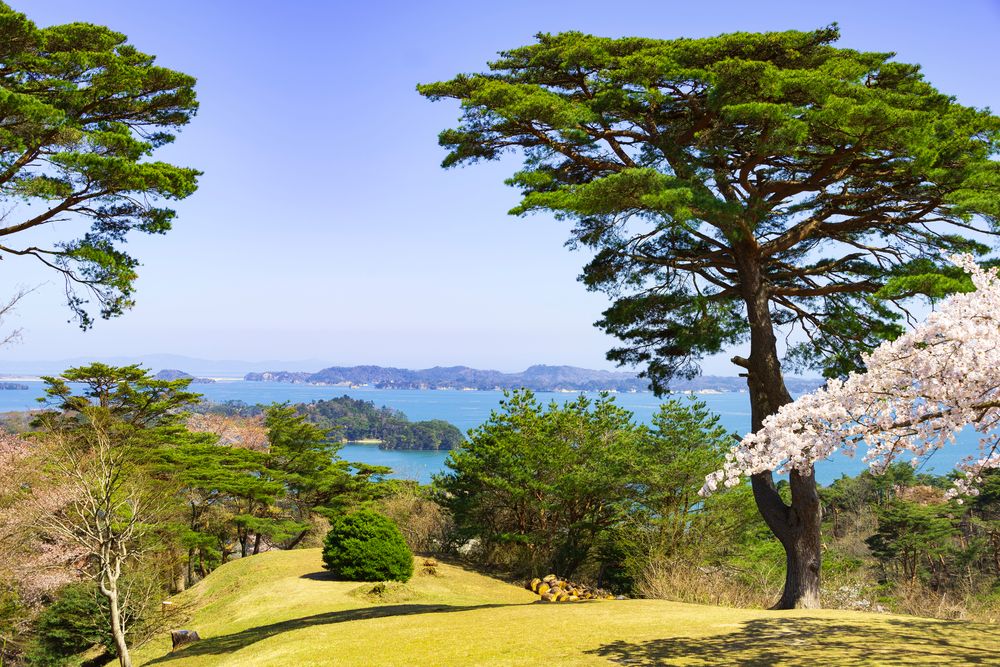 西行戻しの松公園
