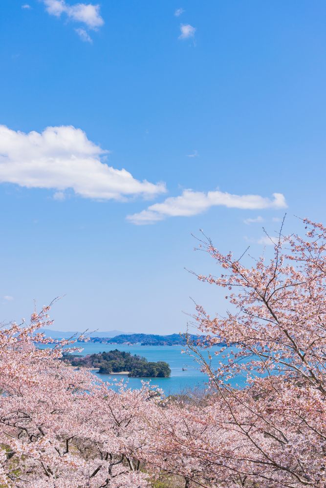西行戻しの松公園の画像 - 4枚目