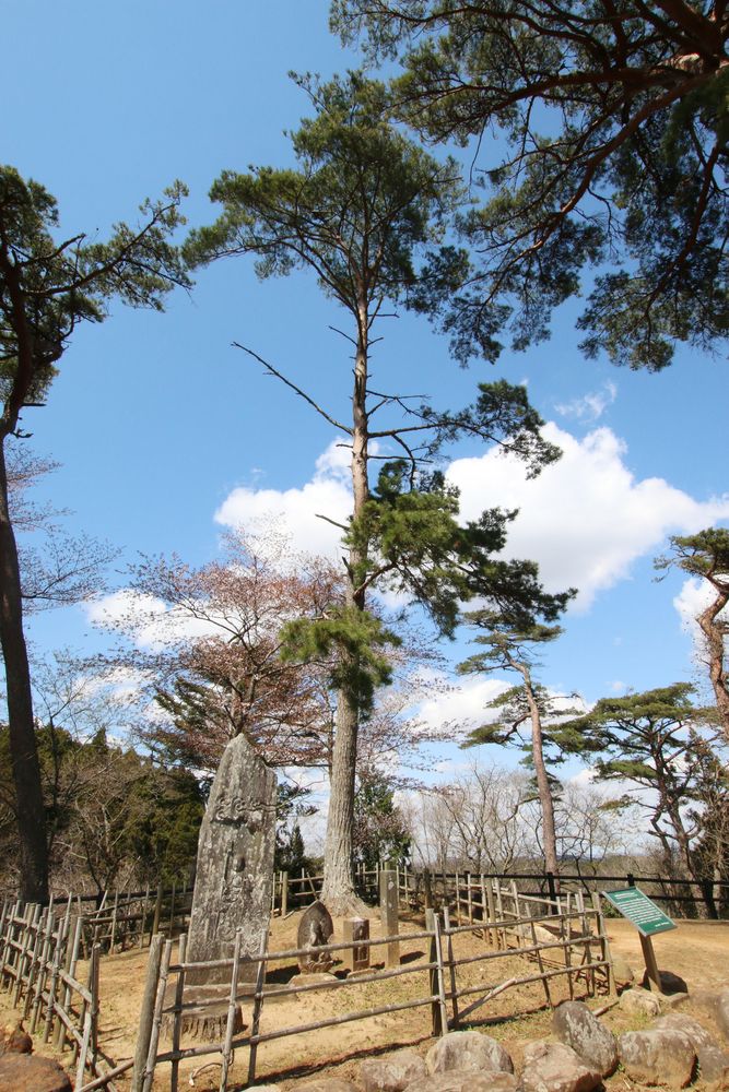 西行戻しの松公園の画像 - 5枚目