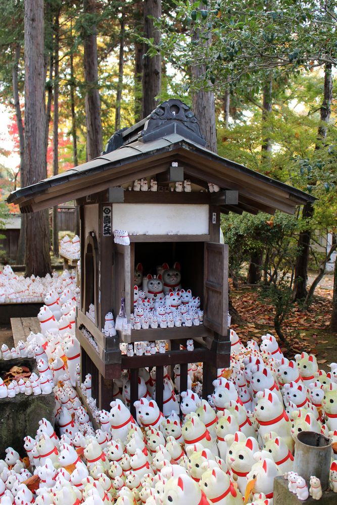 豪徳寺の画像 - 4枚目