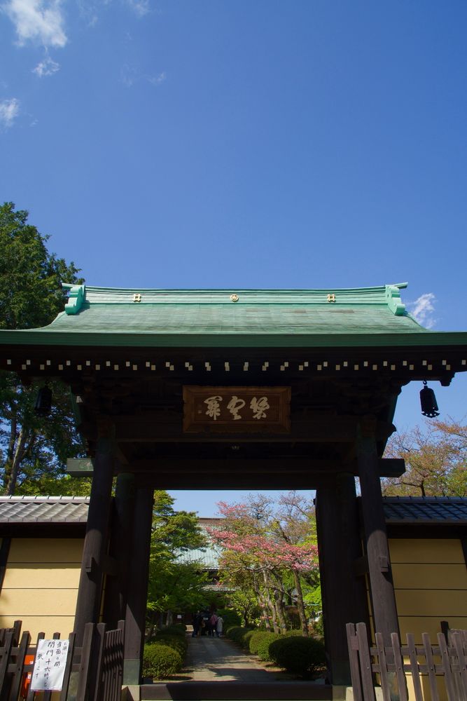 豪徳寺の画像 - 5枚目