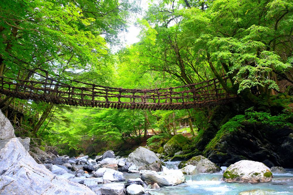 奥祖谷二重かずら橋】の周辺スポット・アクセス・口コミ - Prism Japan