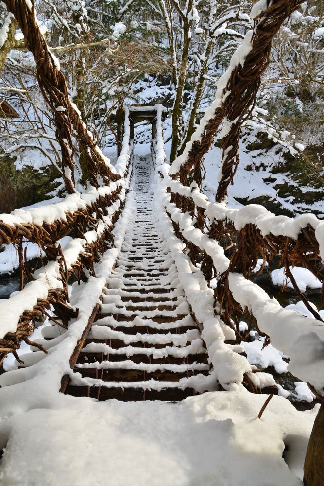 奥祖谷二重かずら橋】の周辺スポット・アクセス・口コミ - Prism Japan