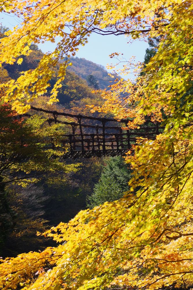 奥祖谷二重かずら橋の画像 - 4枚目