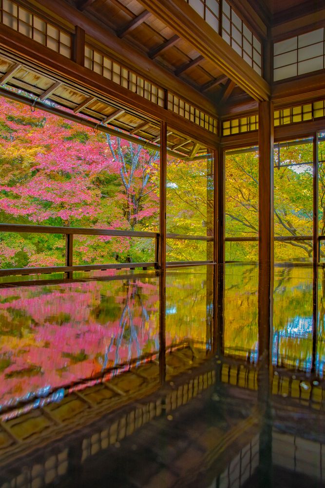 瑠璃光院の画像 - 2枚目