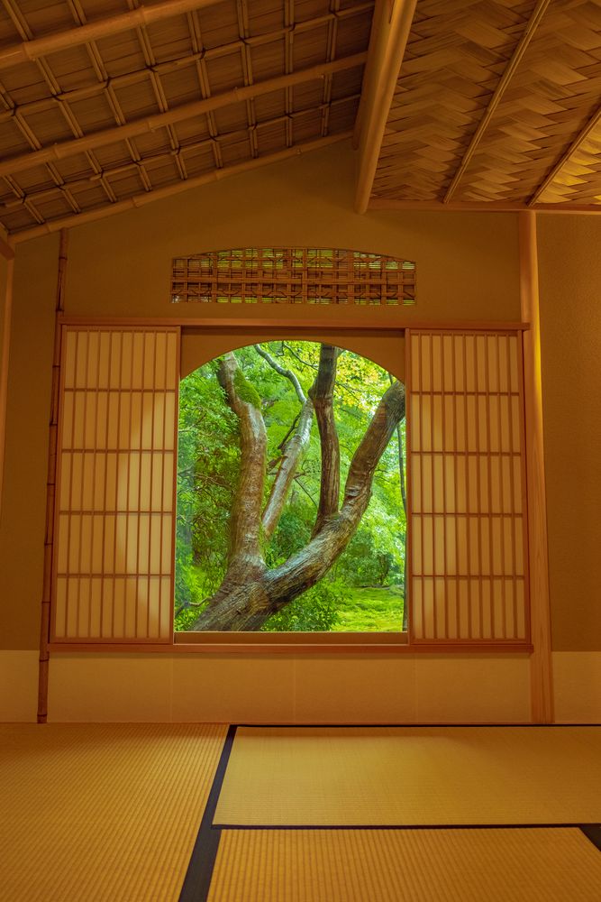 瑠璃光院の画像 - 4枚目
