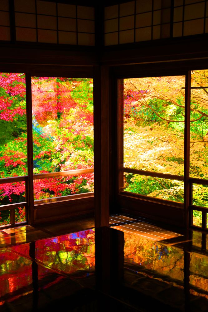 瑠璃光院の画像 - 5枚目