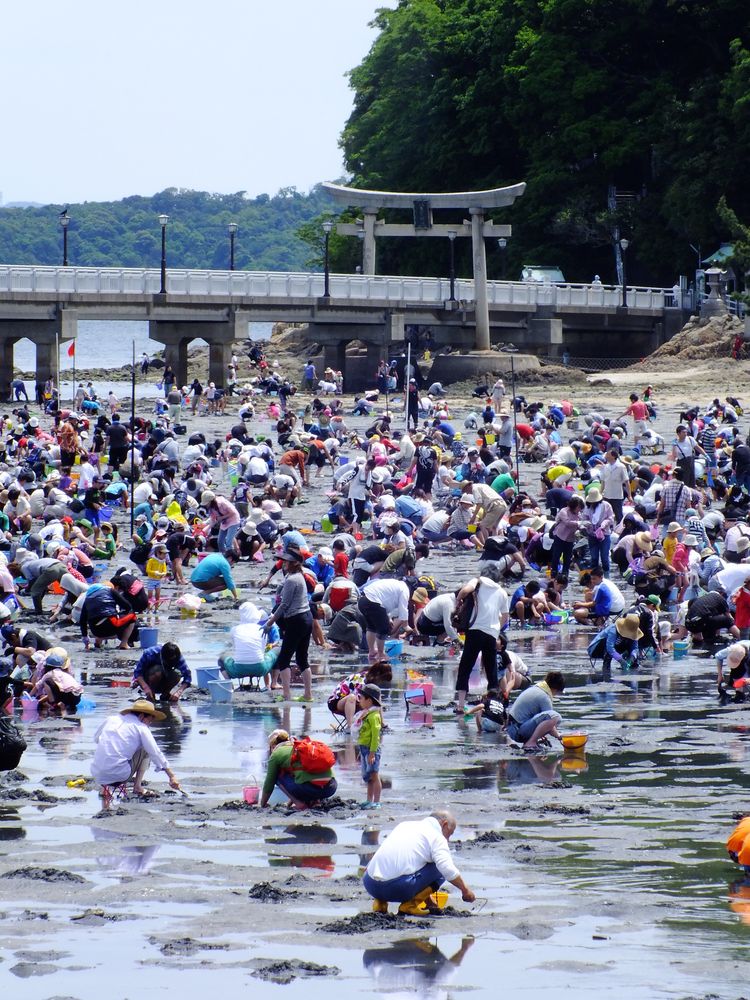 蒲郡竹島海岸の画像 - 2枚目