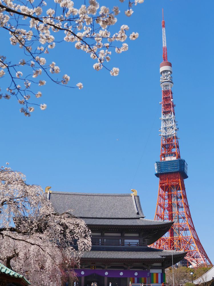 増上寺の画像 - 2枚目
