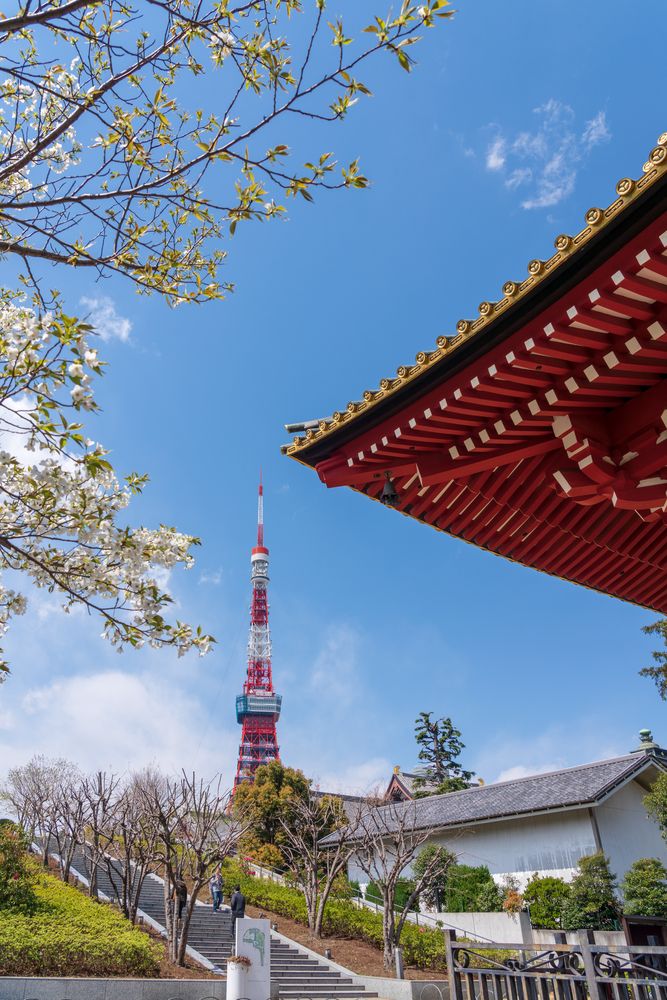 増上寺の画像 - 3枚目