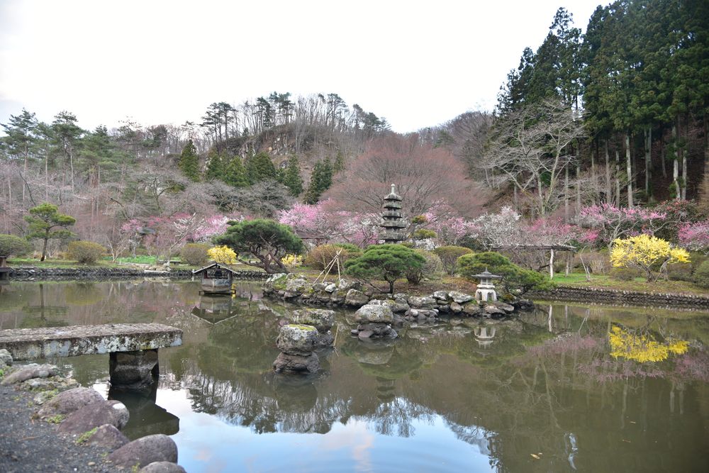 天守閣自然公園の画像 - 6枚目