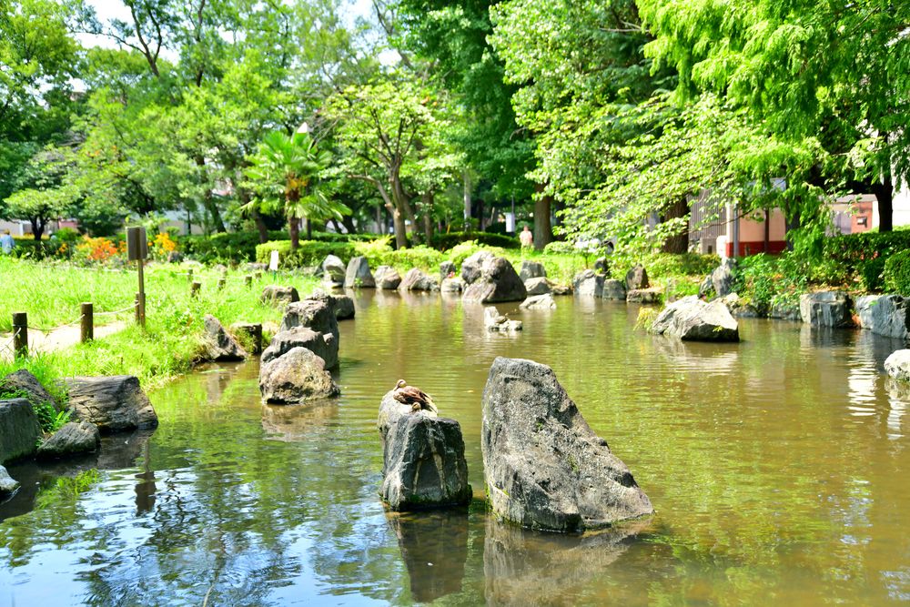 東綾瀬公園の画像 - 4枚目