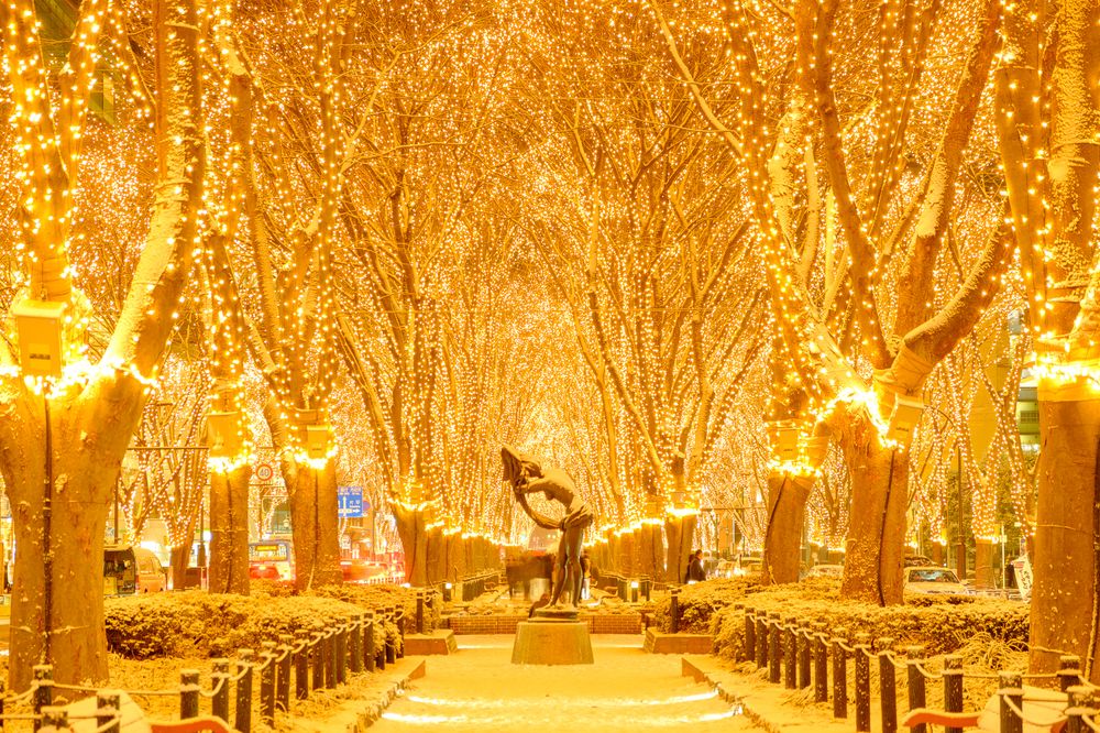 定禅寺通りの画像 - 4枚目