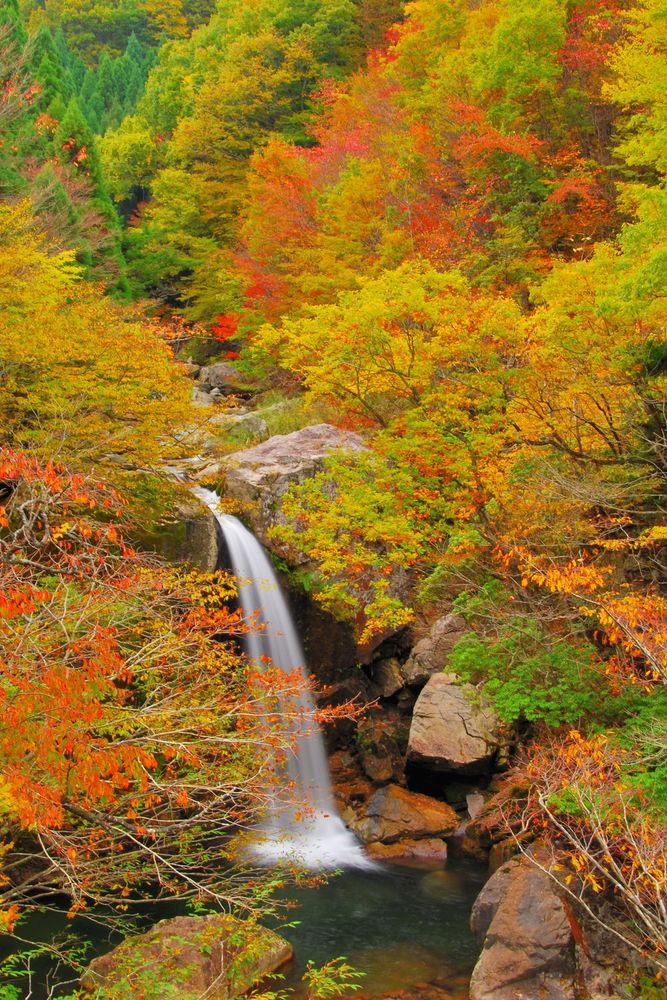三段峡の画像 - 4枚目