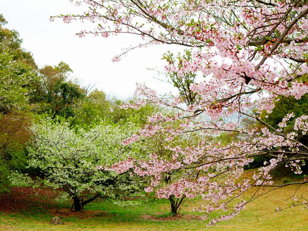鏡山展望台の画像 - 2枚目