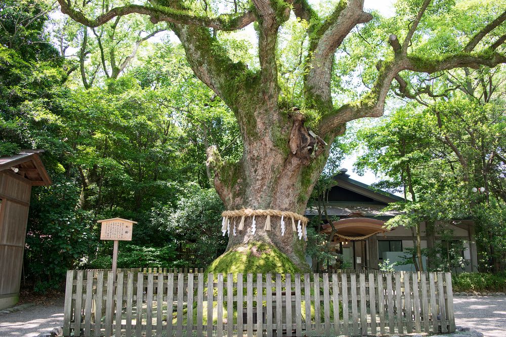 熱田神宮 本 Amazon.co.jp: 日本の神社 20号 (熱田神宮) [分冊百科] : 本