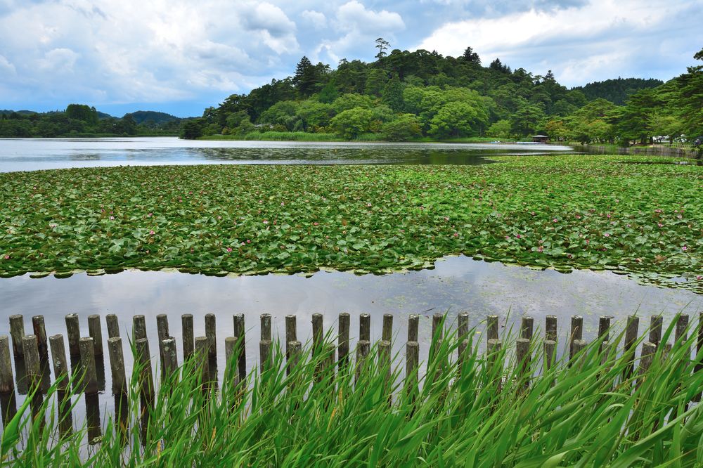 南湖公園の画像 - 6枚目