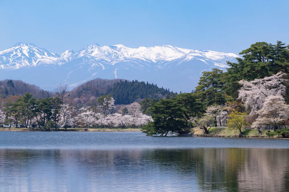 南湖公園の画像 - 7枚目