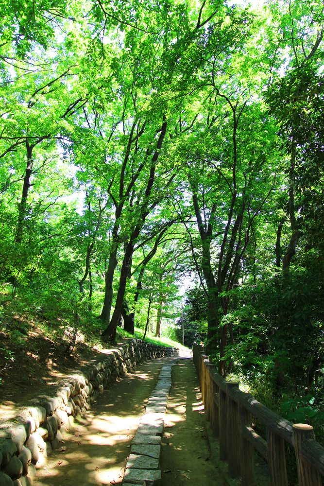 多摩川台公園の画像 - 3枚目