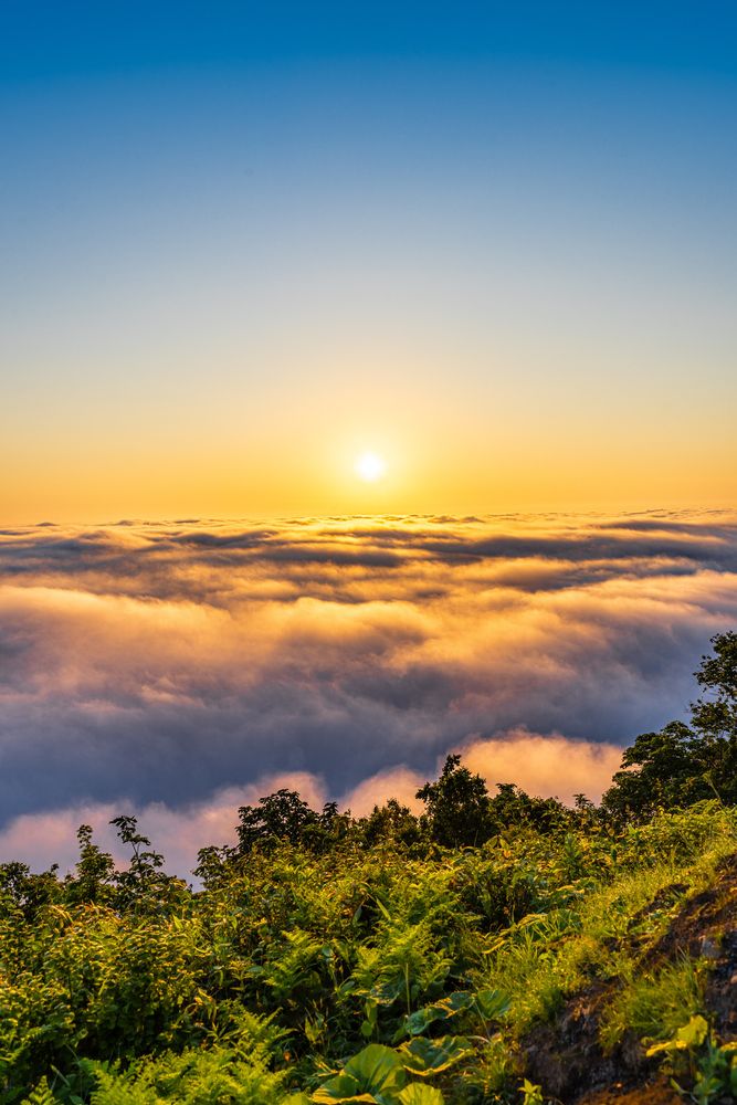 小樽天狗山の画像 - 5枚目