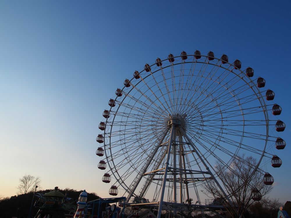 日本モンキーパークの画像 - 3枚目