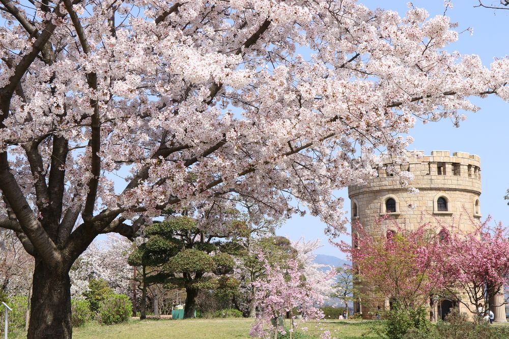 松山総合公園の画像 - 3枚目