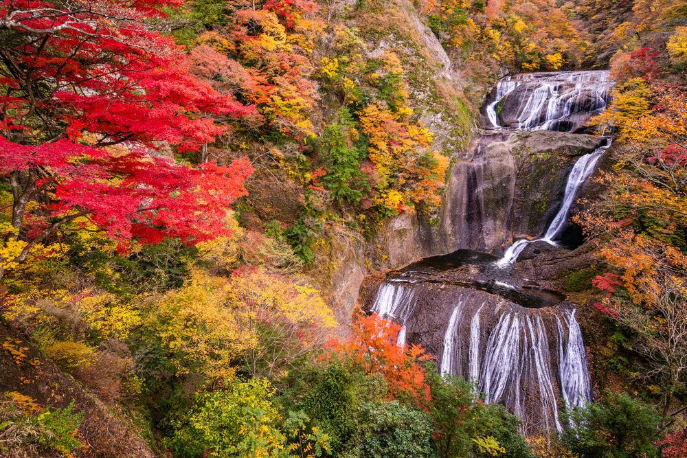 袋田の滝(四度の滝)の画像 - 5枚目