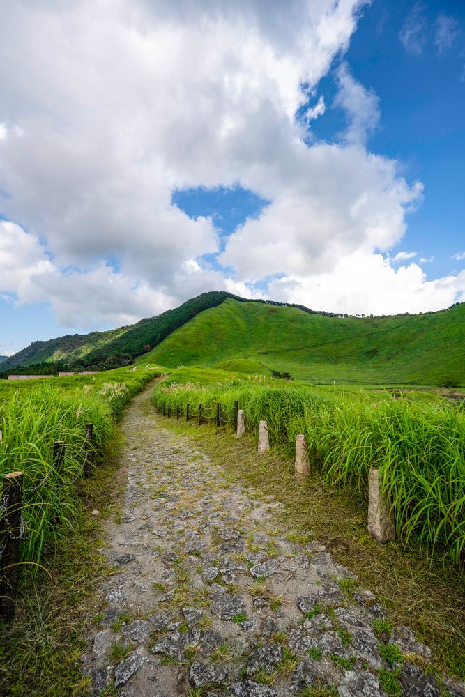 曽爾高原の画像 - 4枚目