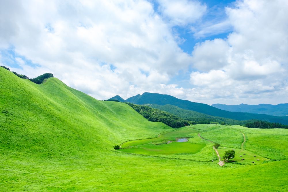 曽爾高原の画像 - 5枚目