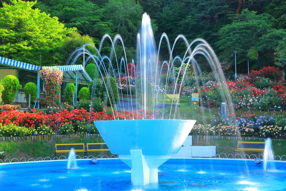 花巻温泉バラ園の画像 - 3枚目