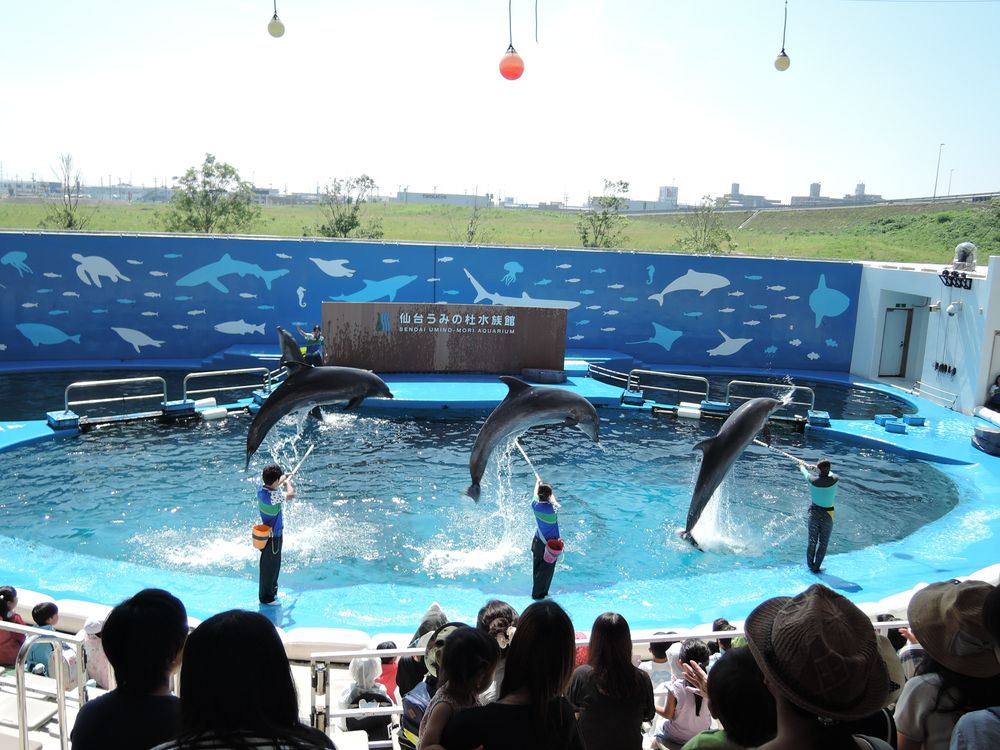 仙台うみの杜水族館の画像 - 2枚目