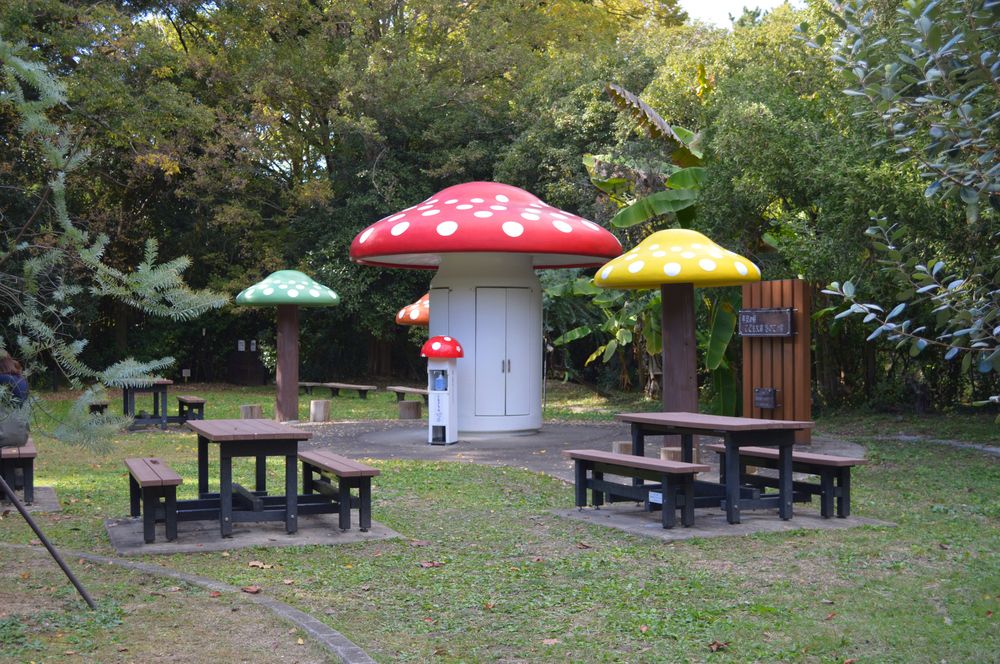京都府立植物園の画像 - 3枚目
