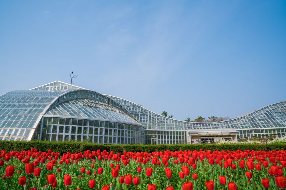 京都府立植物園